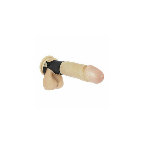 Penisringe : Leather Cock Ring With Button