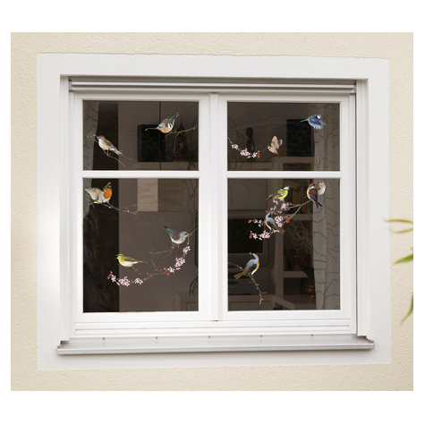 Autocollants de fenêtre - birds - taille 31 x 31 cm