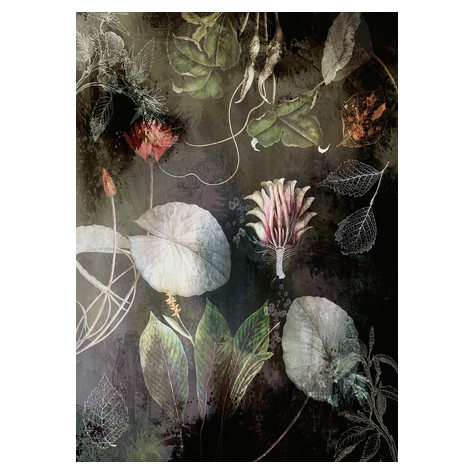 Vlies Fototapete - Night Flowers - Größe 200 X 280 Cm