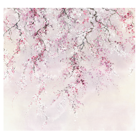 Vlies Fototapete - Kirschblüten - Größe 300 X 280 Cm