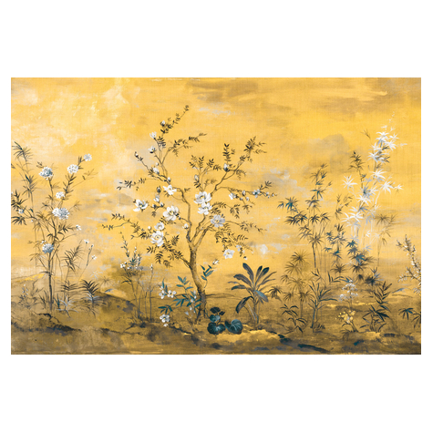 Vlies Fototapete - Mandarin - Größe 368 X 248 Cm