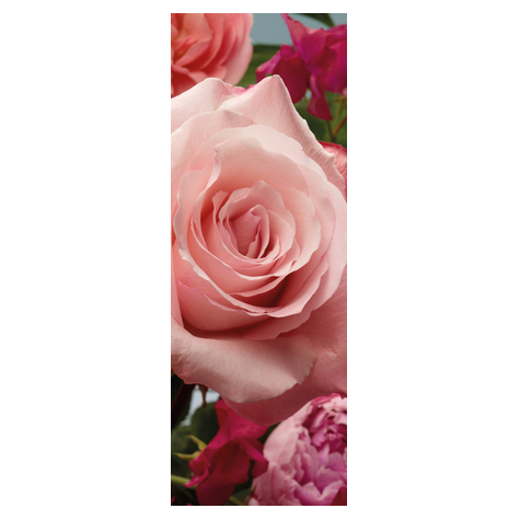 Papier peint photo - parfum de rose - taille 100 x 280 cm