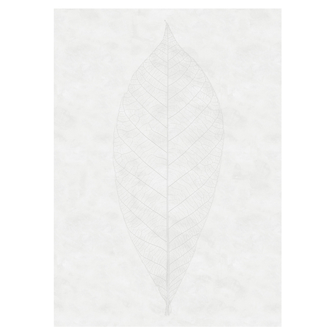 Vlies Fototapete - Decent Leaf - Größe 200 X 280 Cm