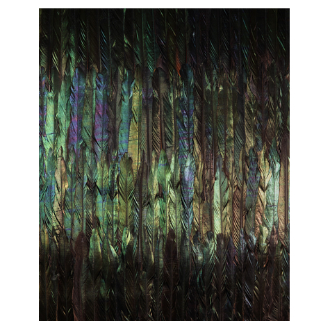 Vlies Fototapete - Dark Wings  - Größe 200 X 250 Cm