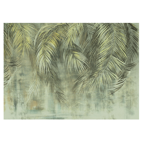 Vlies Fototapete - Palm Fronds - Größe 350 X 250 Cm