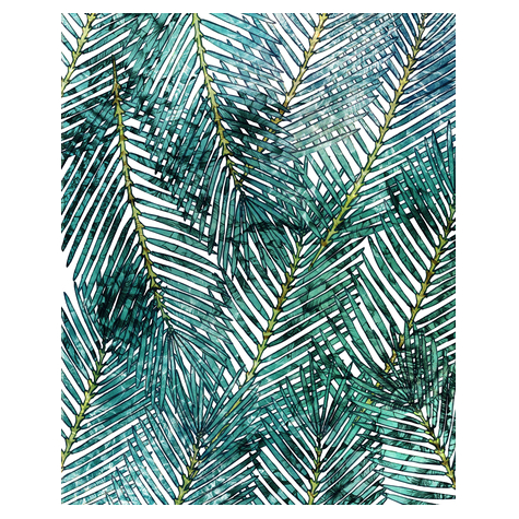 Papier peint photo - palm canopy - dimensions 200 x 250 cm