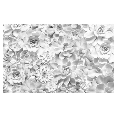 Vlies Fototapete - Shades Black And White - Größe 400 X 250 Cm