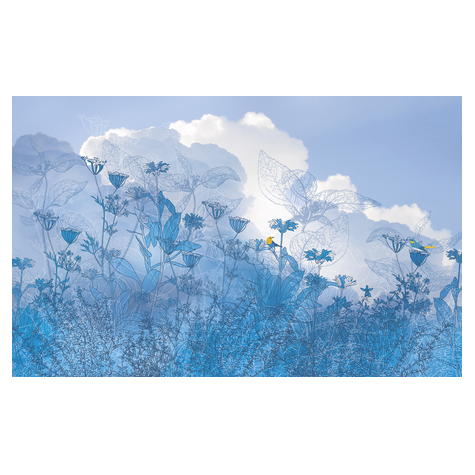 Papier peint photo - blue sky - dimensions 400 x 250 cm