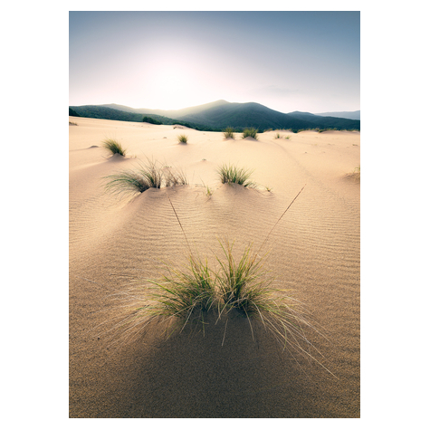 Vlies Fototapete - Vivid Dunes - Größe 200 X 280 Cm