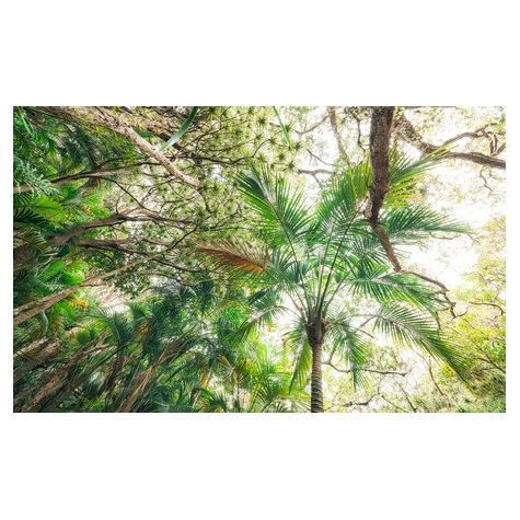 Papier peint photo - touch the jungle - dimensions 450 x 280 cm