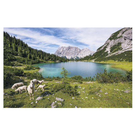 Vlies Fototapete - Paradise Lake - Größe 400 X 250 Cm
