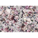 Non-Woven Wallpaper - Lovely Blossoms - Size 350 X 250 Cm