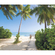 Vlies Fototapete - Palmy Beach - Größe 300 X 250 Cm